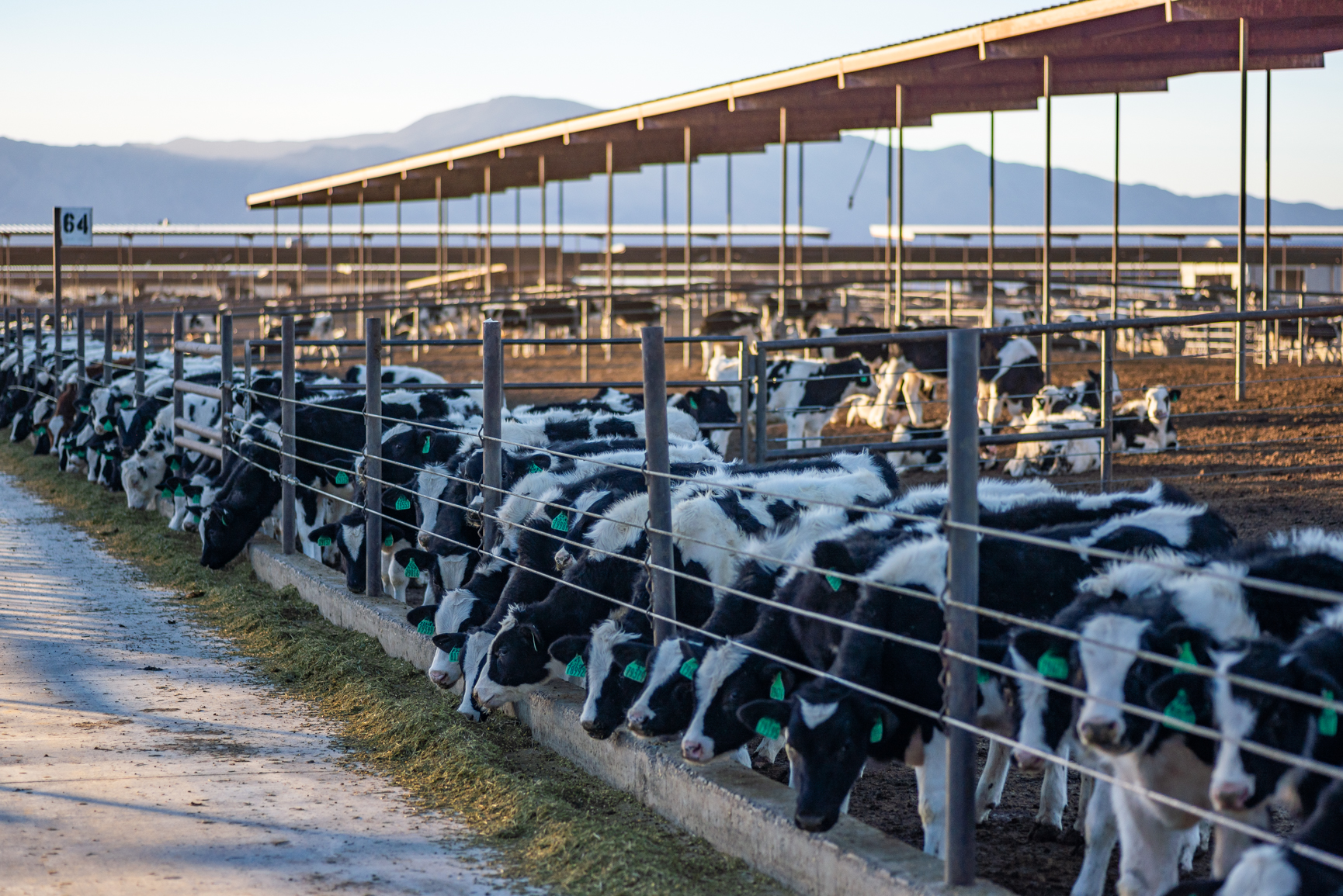 Learn More About Nevada Dairy Farms - Nevada Dairy Farmers